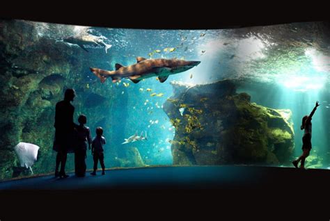 Aquarium de Marseille : lequel visiter en famille .